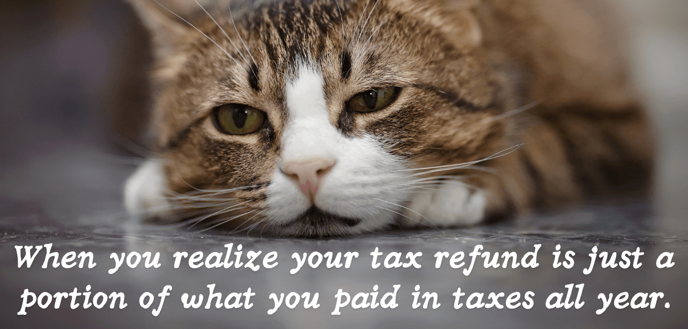 taxes cat meme