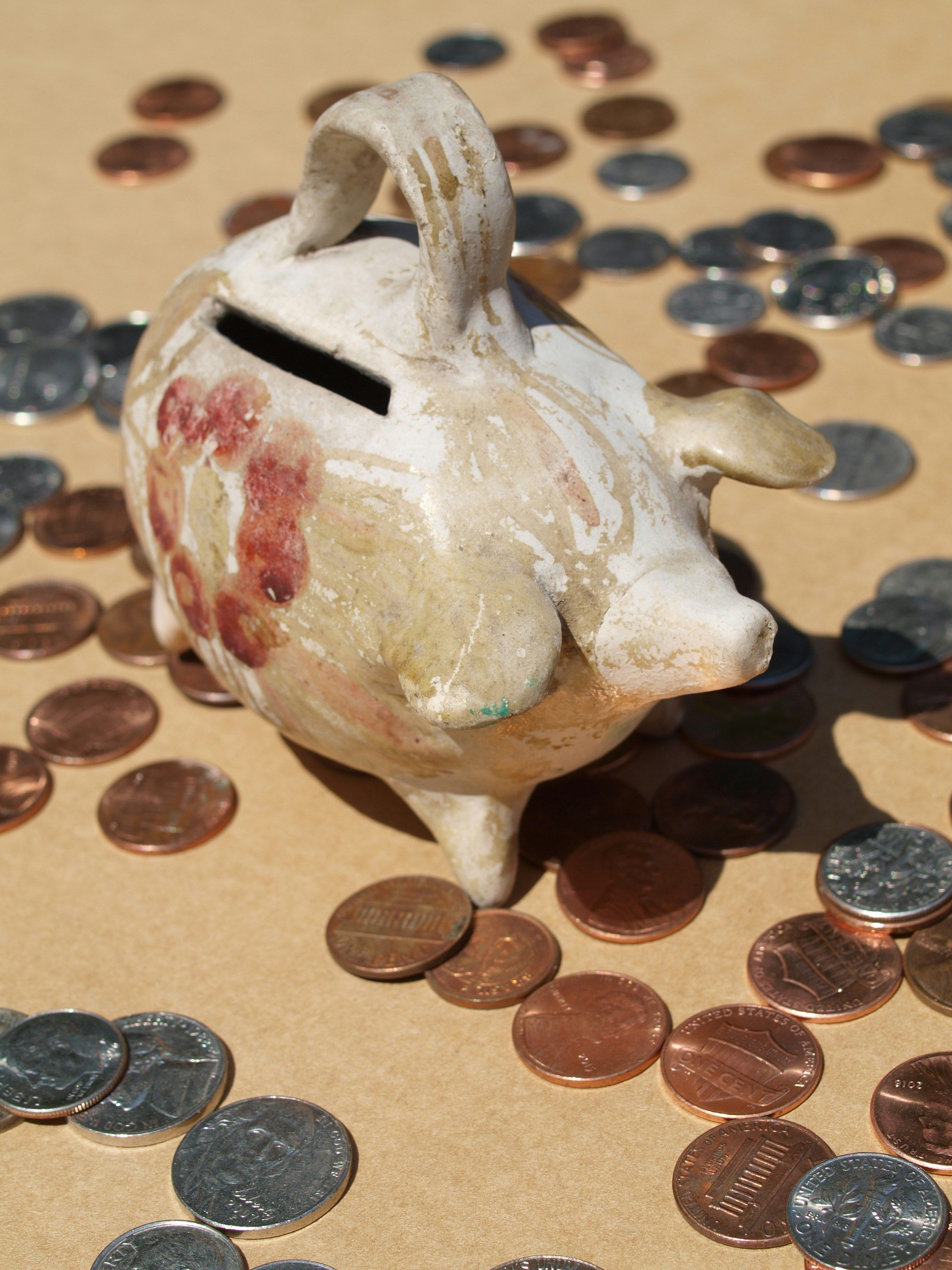 basic business budget